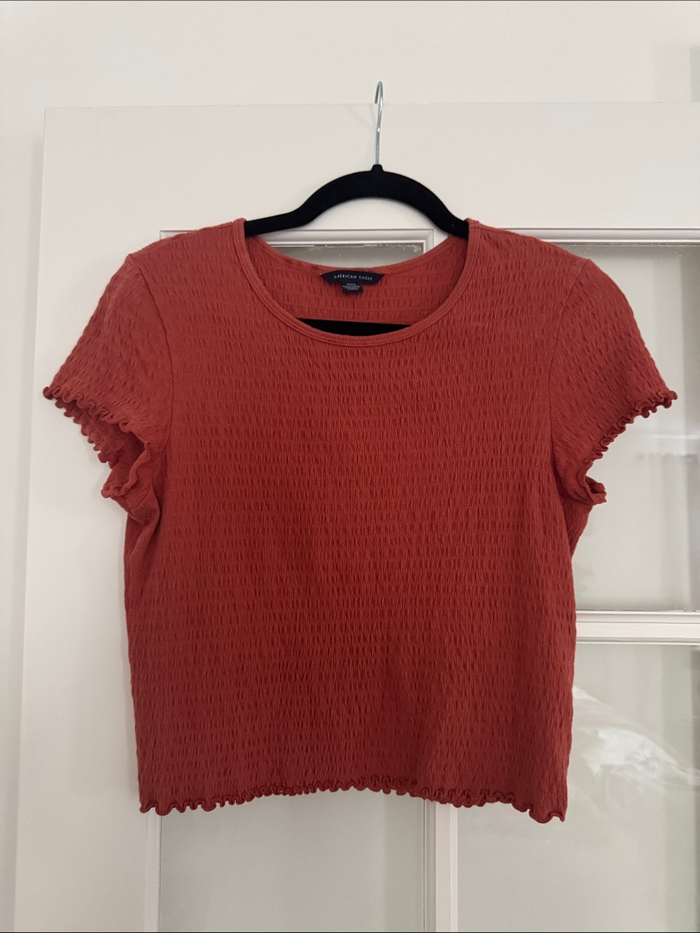 American Eagle Outfitters Rust Red Textured Short Sleeve Crop Top